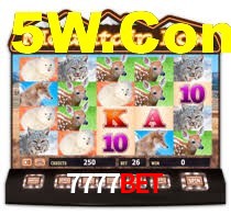7777bet 12